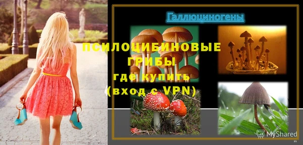 дживик Балахна