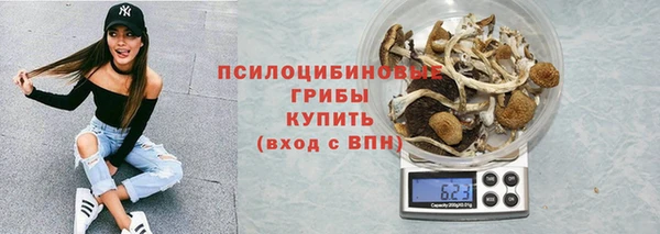 крисы Армянск
